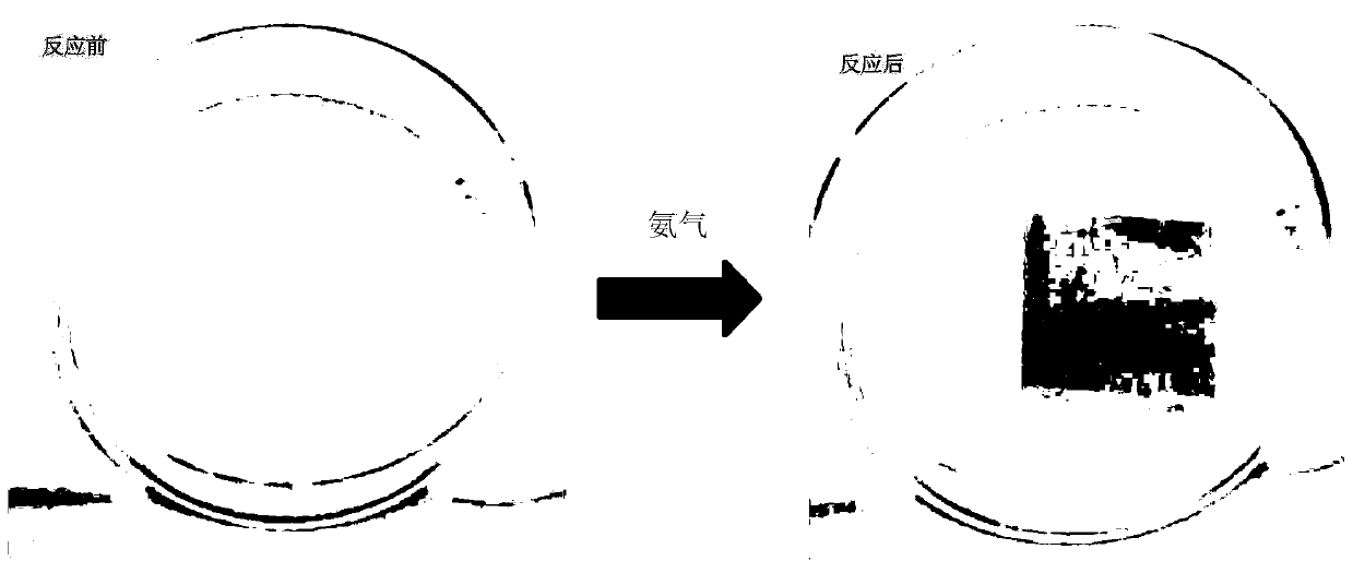 Preparation method of hydrophobic film for indicating food freshness