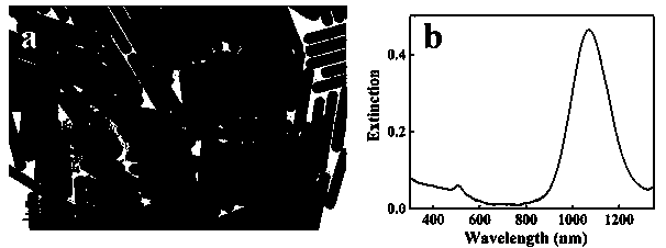 Flexible mesoporous organosilicone nanorods and preparation method and application thereof