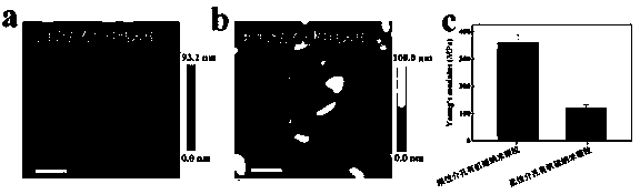 Flexible mesoporous organosilicone nanorods and preparation method and application thereof