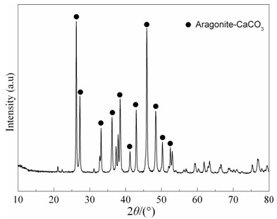 Preparation method of flake-shaped aragonite calcium carbonate