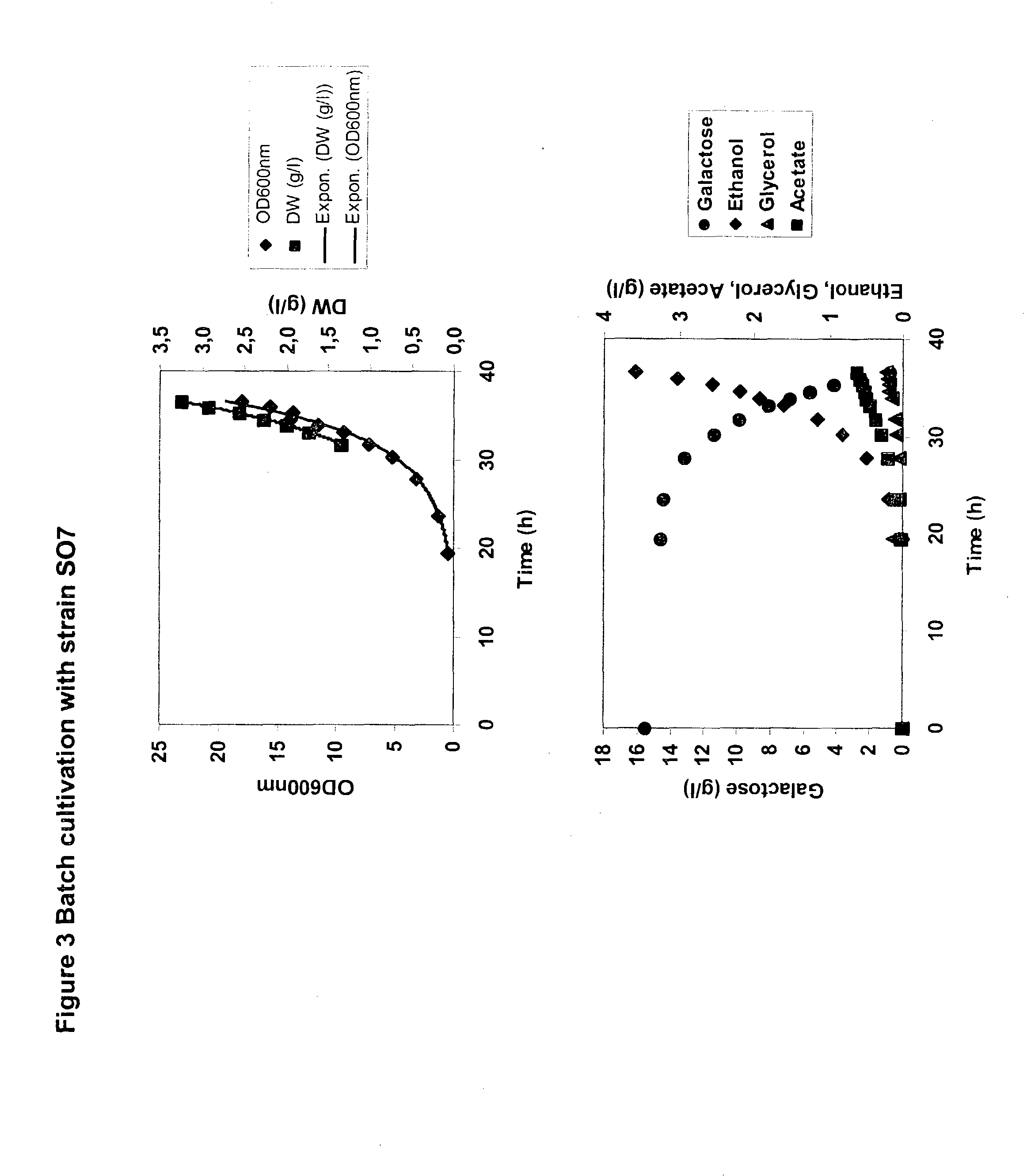 Metabolically engineered micro-organisms having improved galactose uptake