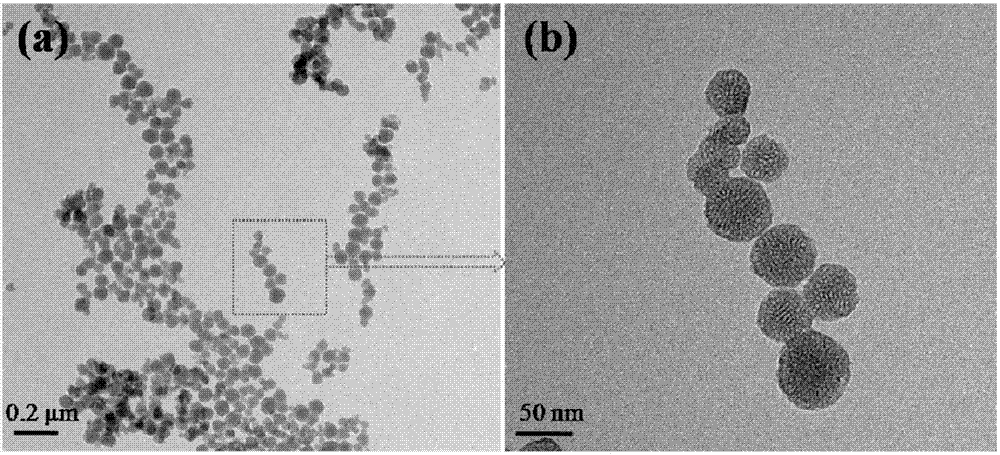 Functional mesoporous silicon dioxide nanoparticles with effect of resisting ageing and preparing method and application of functional mesoporous silicon dioxide nanoparticles