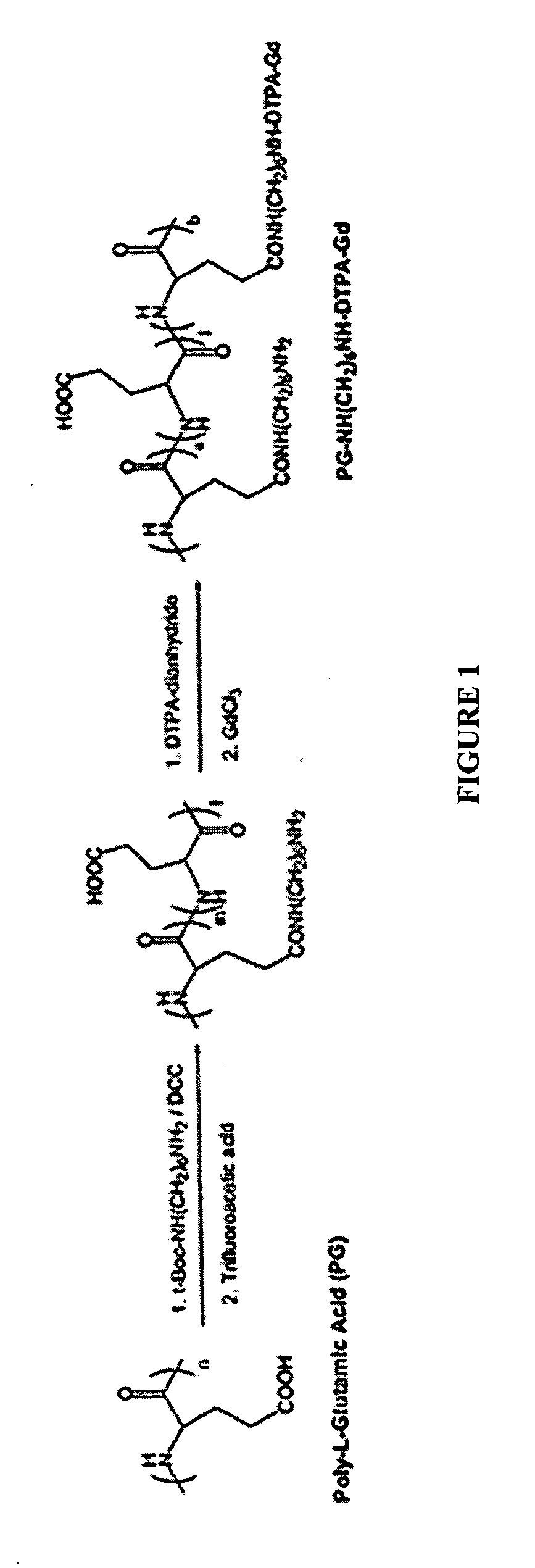 Poly (L-glutamic acid) paramagnetic material complex and use as a biodegradable MRI contrast agent