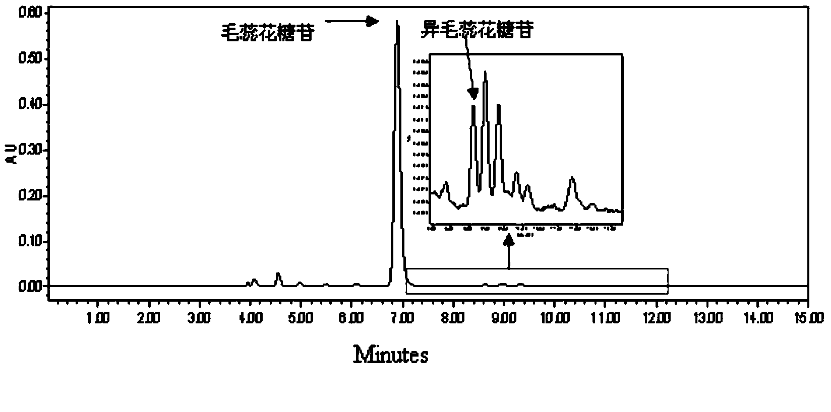 Application of osmanthus phenylethanoid glycoside extract in preparing anti-aging drugs or health products