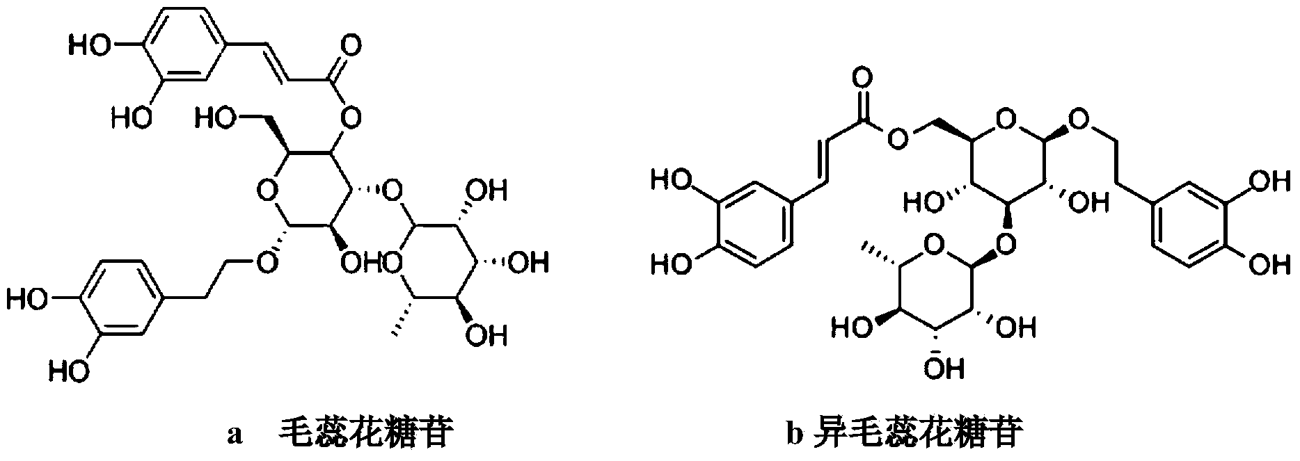 Application of osmanthus phenylethanoid glycoside extract in preparing anti-aging drugs or health products