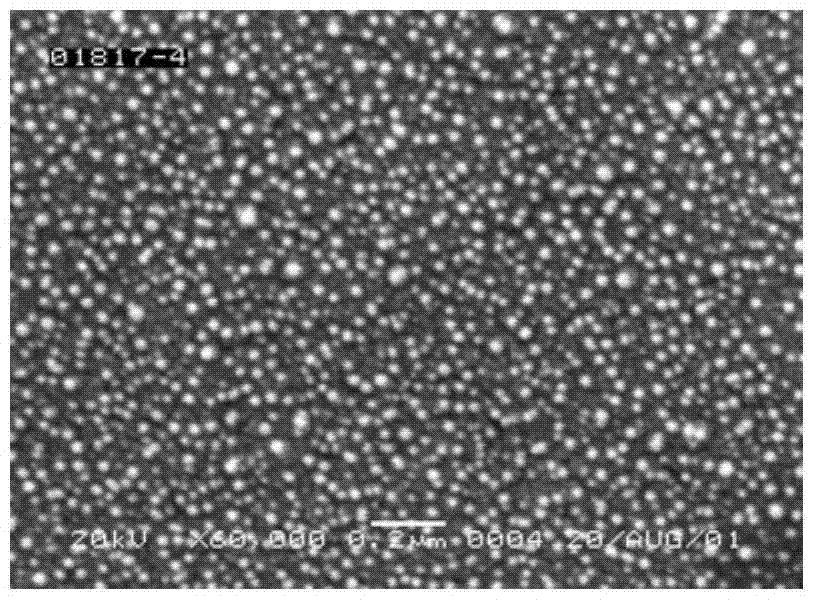 Nickel-tungsten-based alloy coating screen pipe for high-salinity oil-gas well containing hydrogen sulfide and carbon dioxide