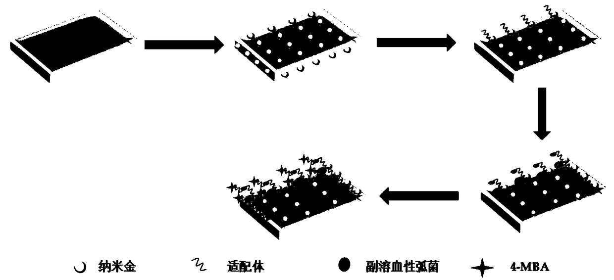 Composite membrane sensor and method thereof for detecting vibrio parahemolyticus