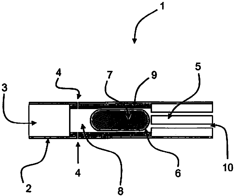 Nicotine powder delivery system