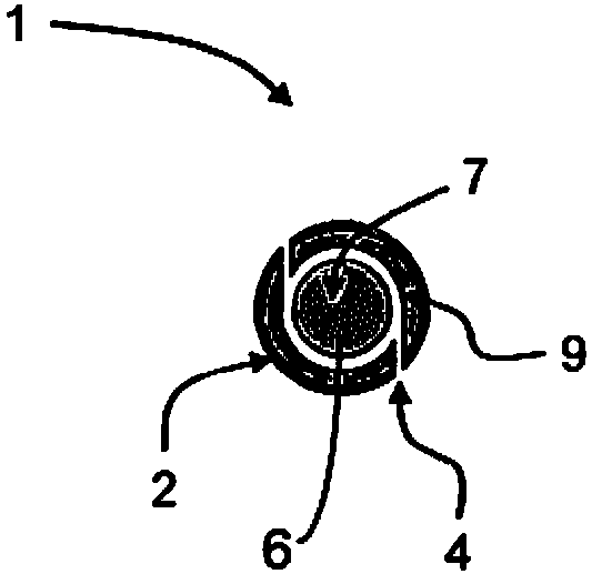 Nicotine powder delivery system