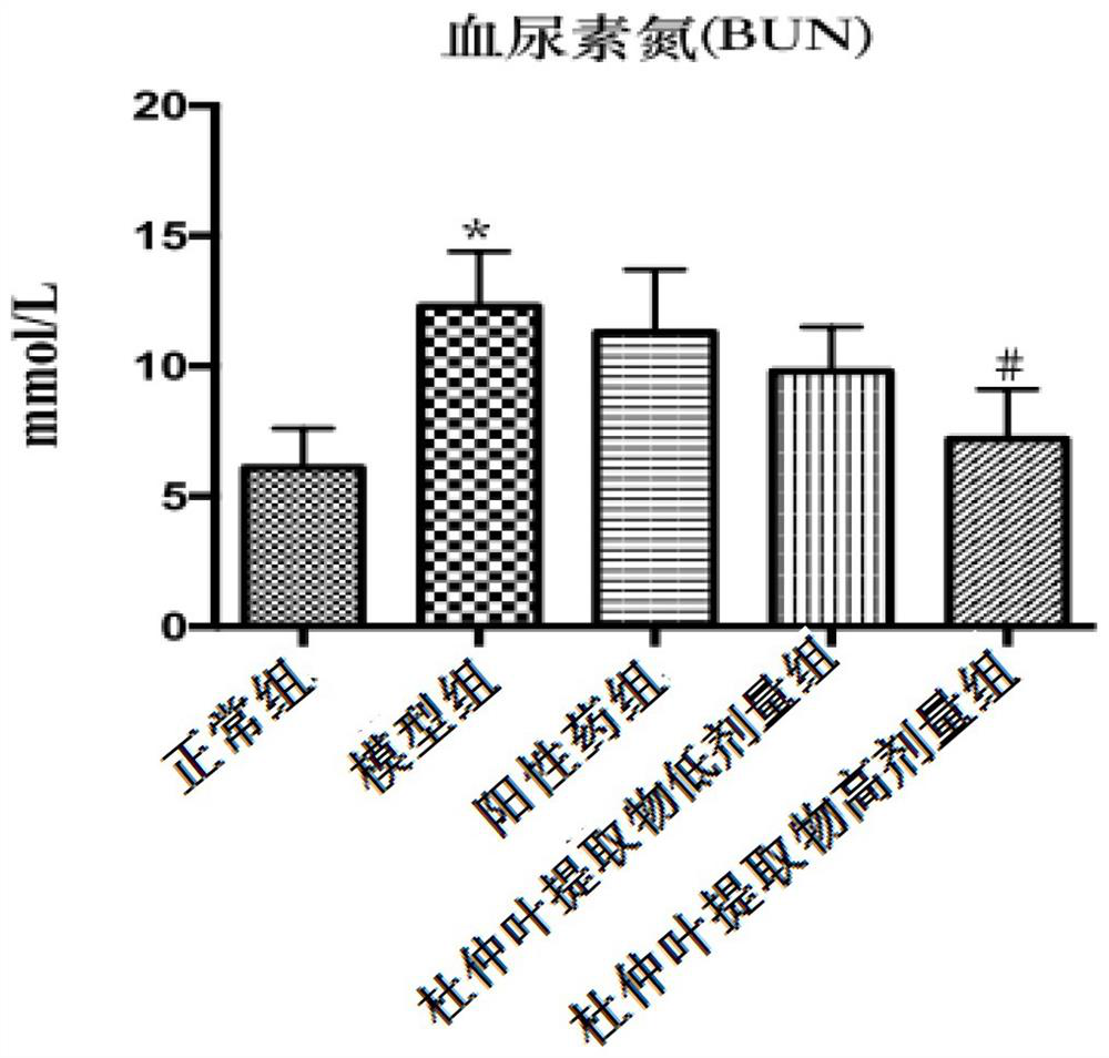 Preparation method and application of folium cortex eucommiae extract for preventing and treating hypertension kidney injury