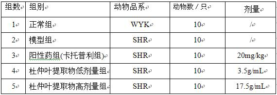 Preparation method and application of folium cortex eucommiae extract for preventing and treating hypertension kidney injury