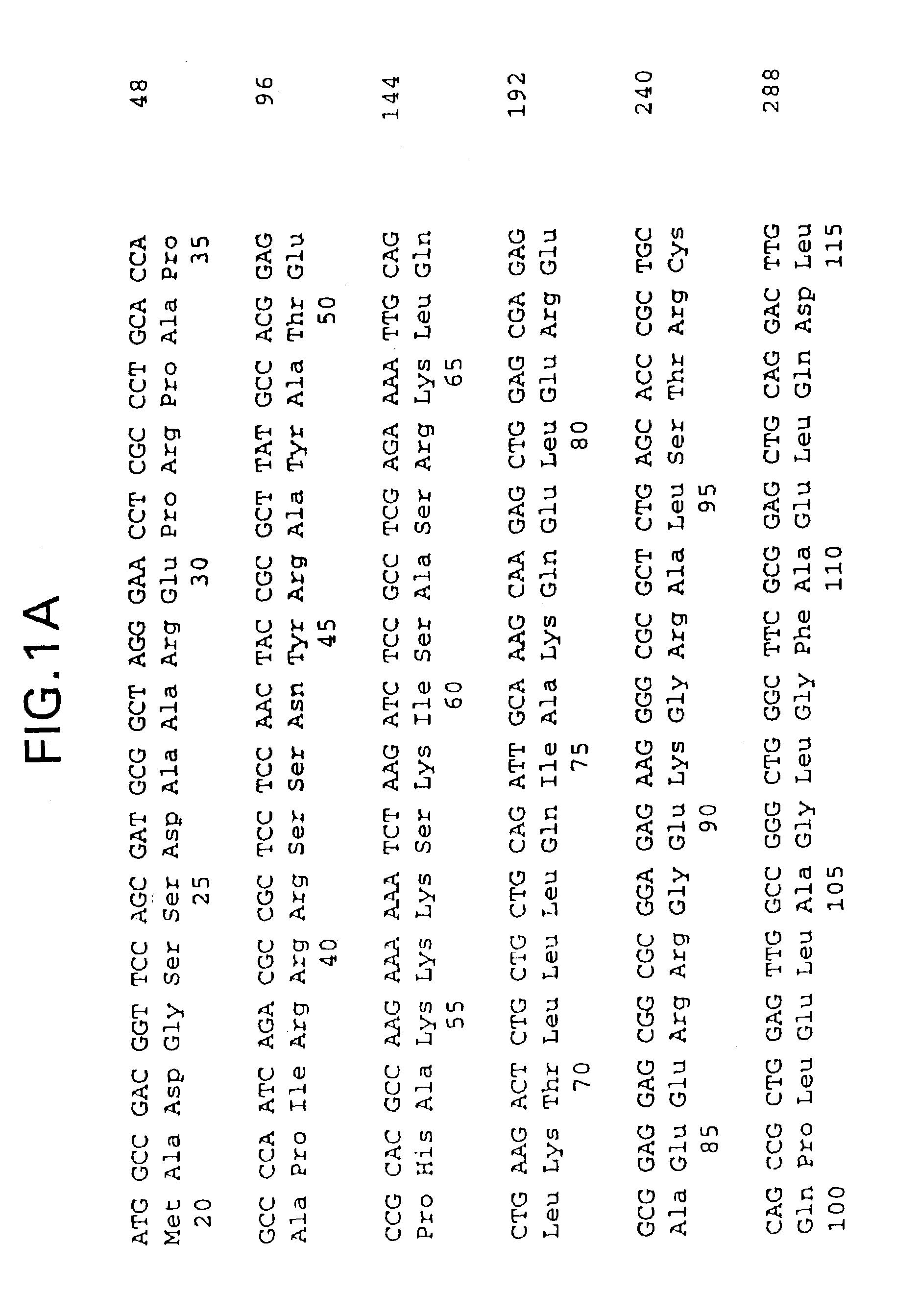 Single-chain polypeptides comprising troponin I and troponin C