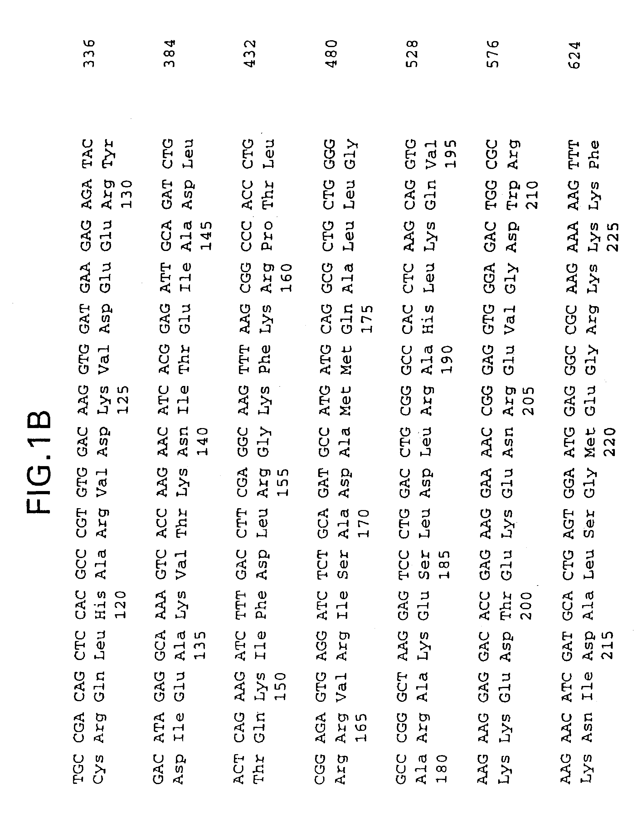 Single-chain polypeptides comprising troponin I and troponin C