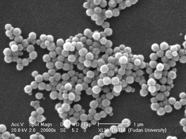 Multifunctional core-shell structure fluorescent coding magnetic microspheres and preparation method thereof