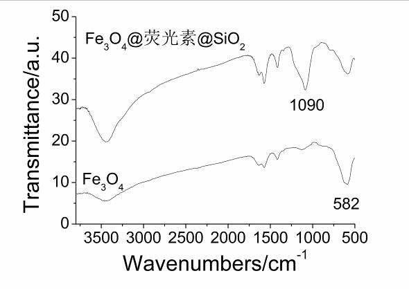 Multifunctional core-shell structure fluorescent coding magnetic microspheres and preparation method thereof