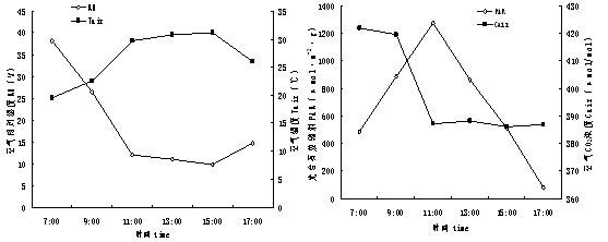 Method for using Bacillus thruingiensis fermentation broth to improve salt resistance of lawn plants