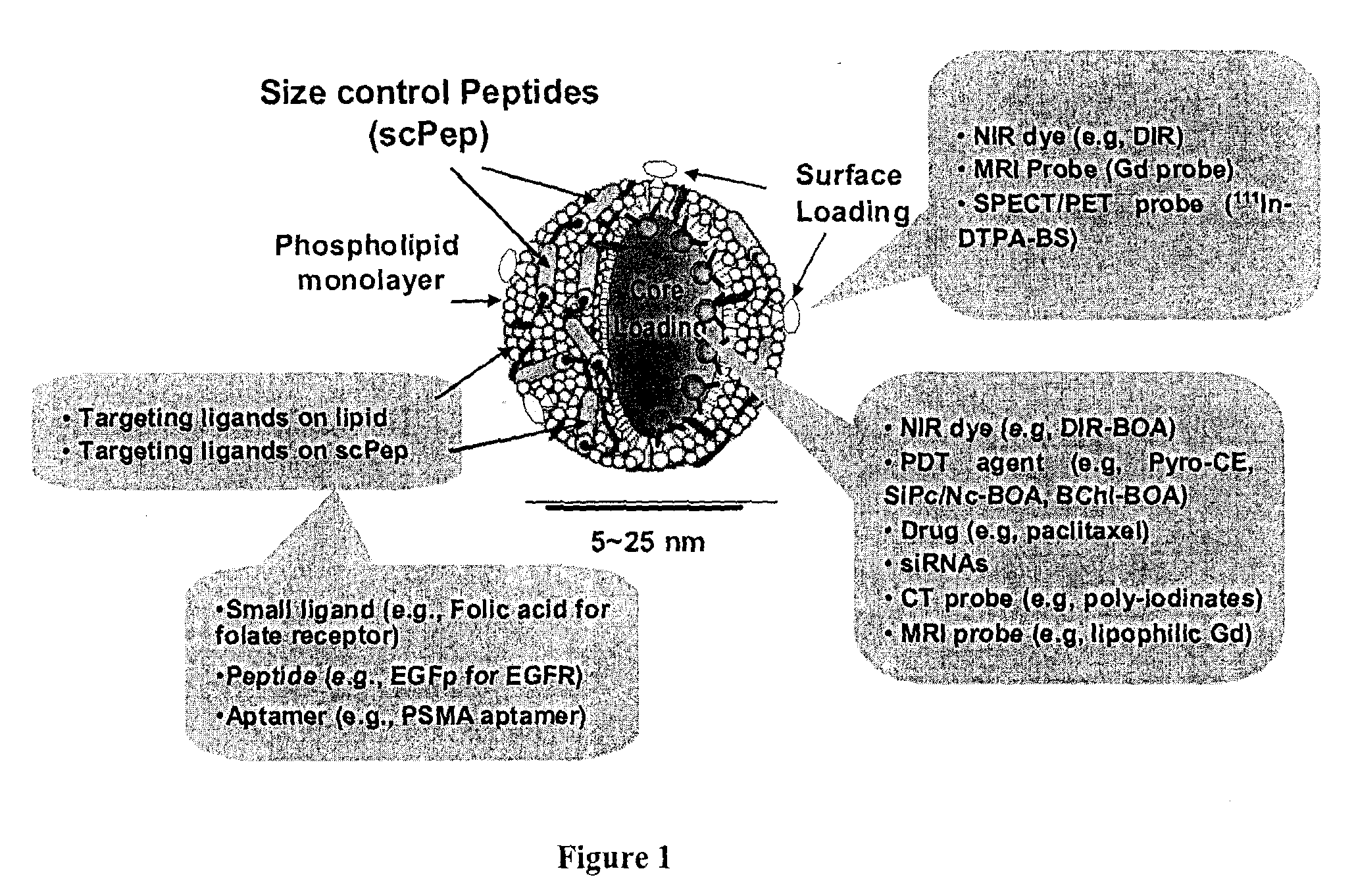 High-density lipoprotein-like peptide-phospholipid scaffold ("hpps") nanoparticles