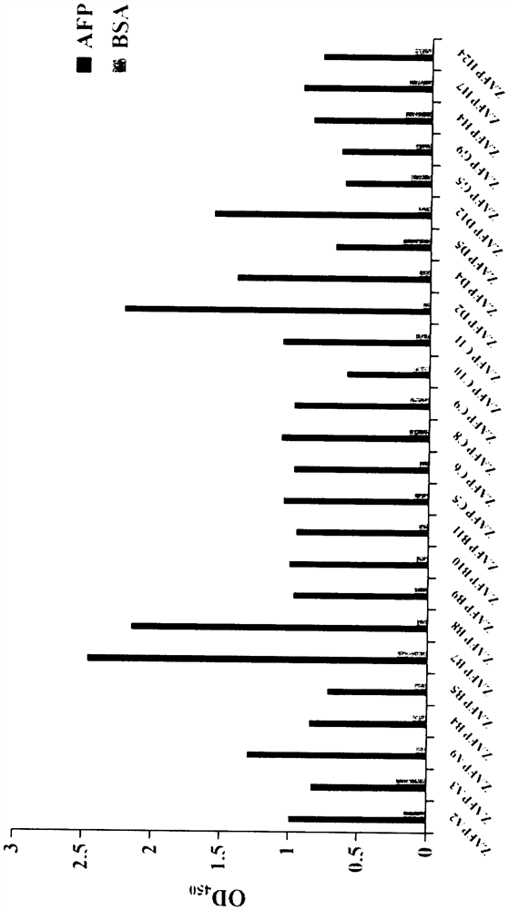 Alpha fetoprotein specific binding polypeptide and application