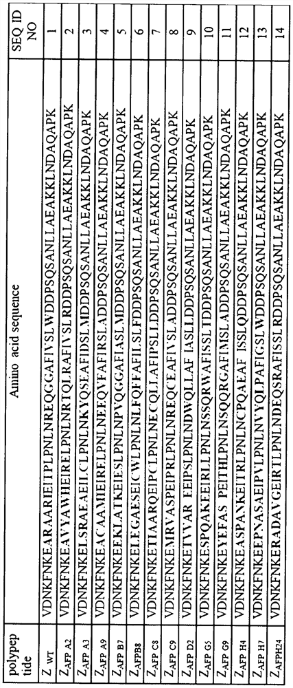 Alpha fetoprotein specific binding polypeptide and application