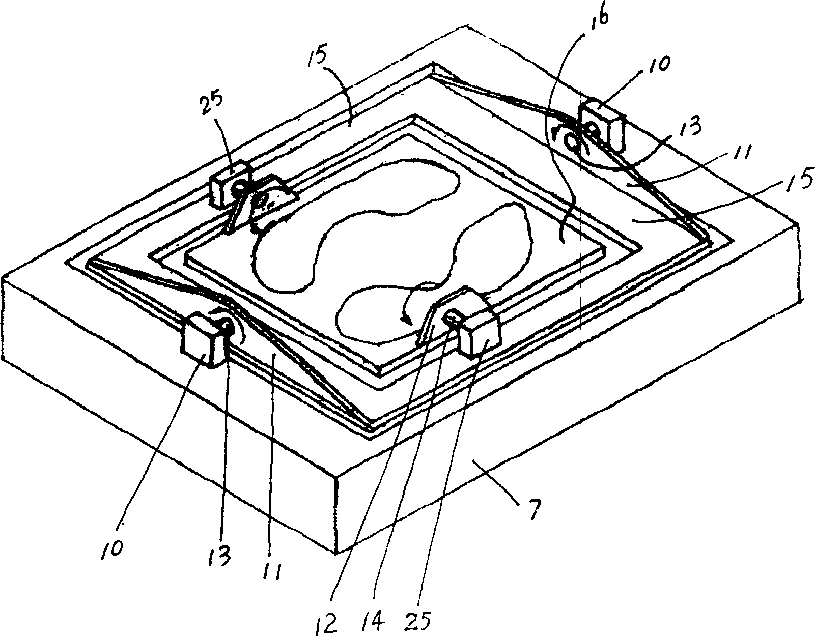 Biological feedback balance detection, therapy and training apparatus