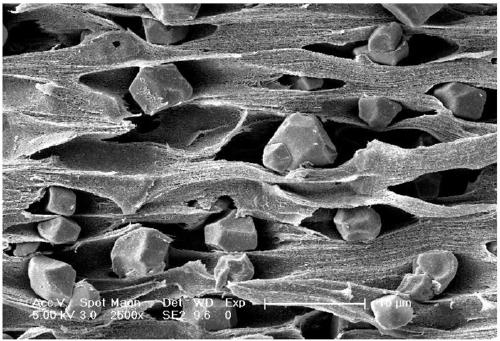 Hierarchical porous polylactic acid material and preparation method thereof