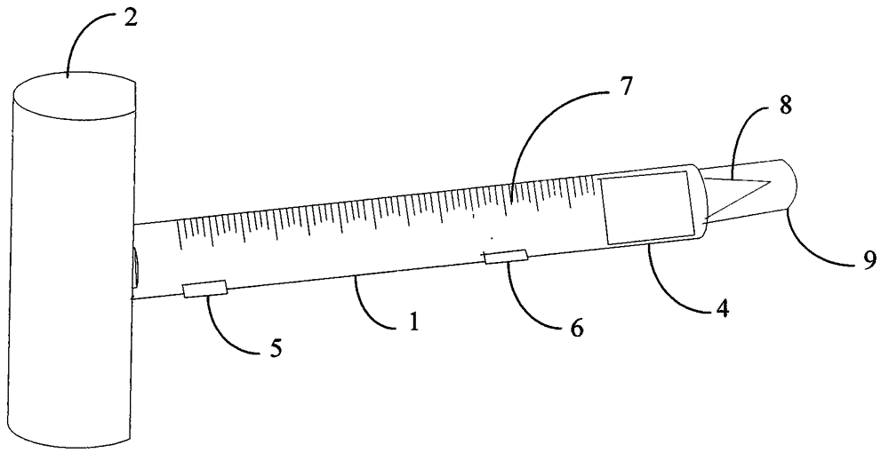 Multifunctional neurological examination device