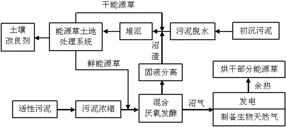 A method of joint treatment of municipal sludge using energy grass and anaerobic fermentation technology