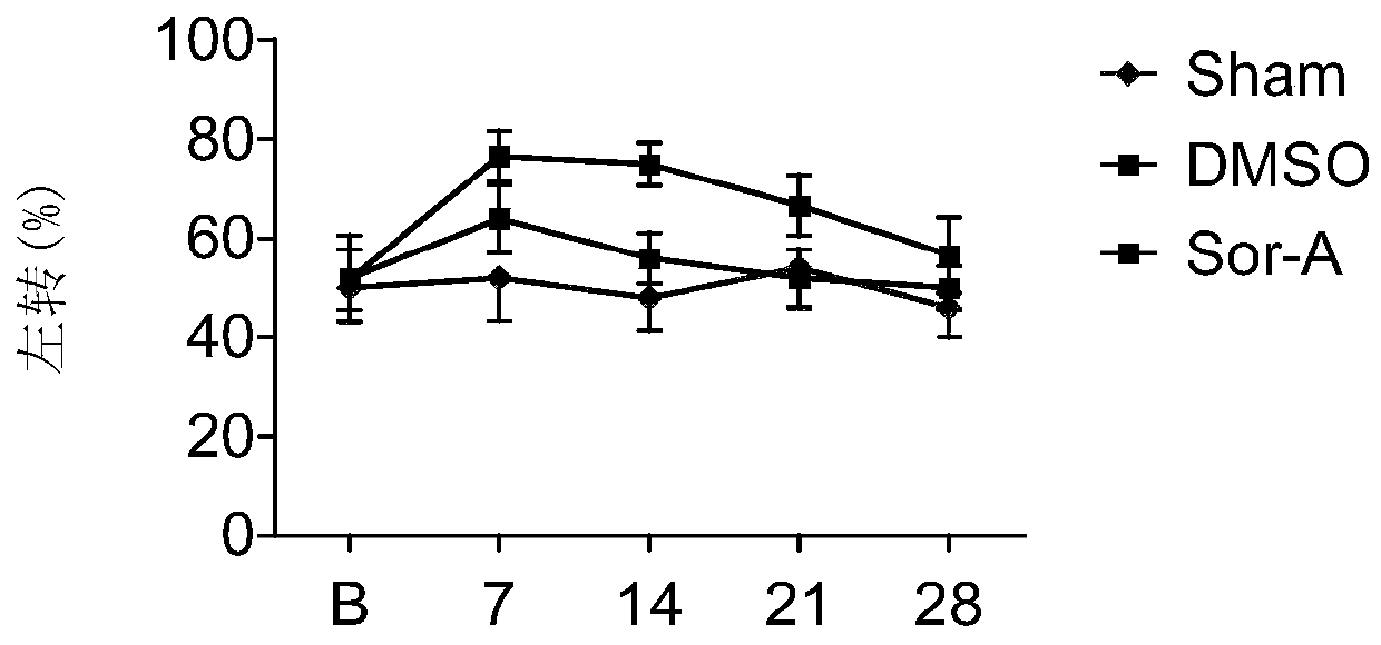 Application of Sorafen A in Ischemic Brain Injury