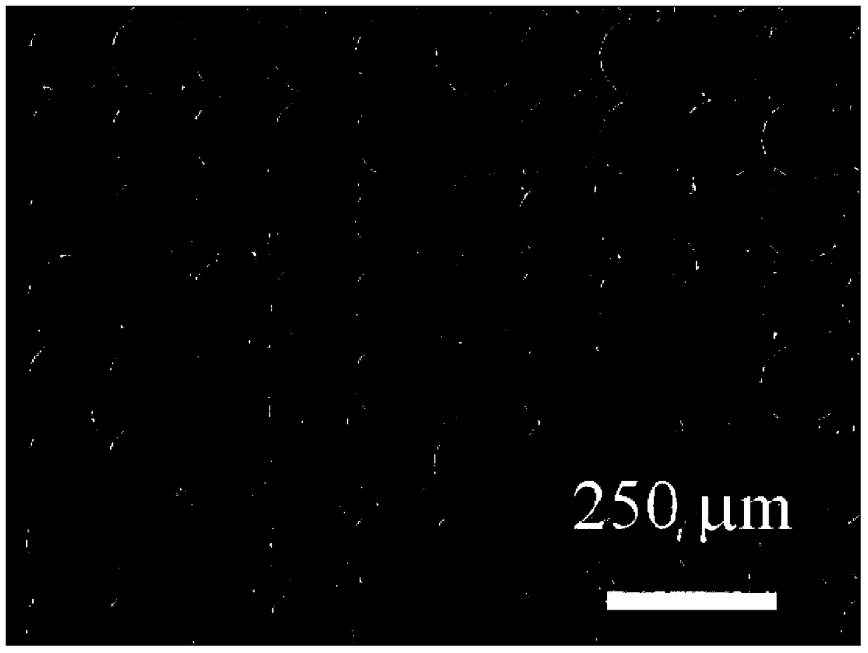 A method for controlling the surface wettability of polychlorinated p-xylylene film by surface patterning