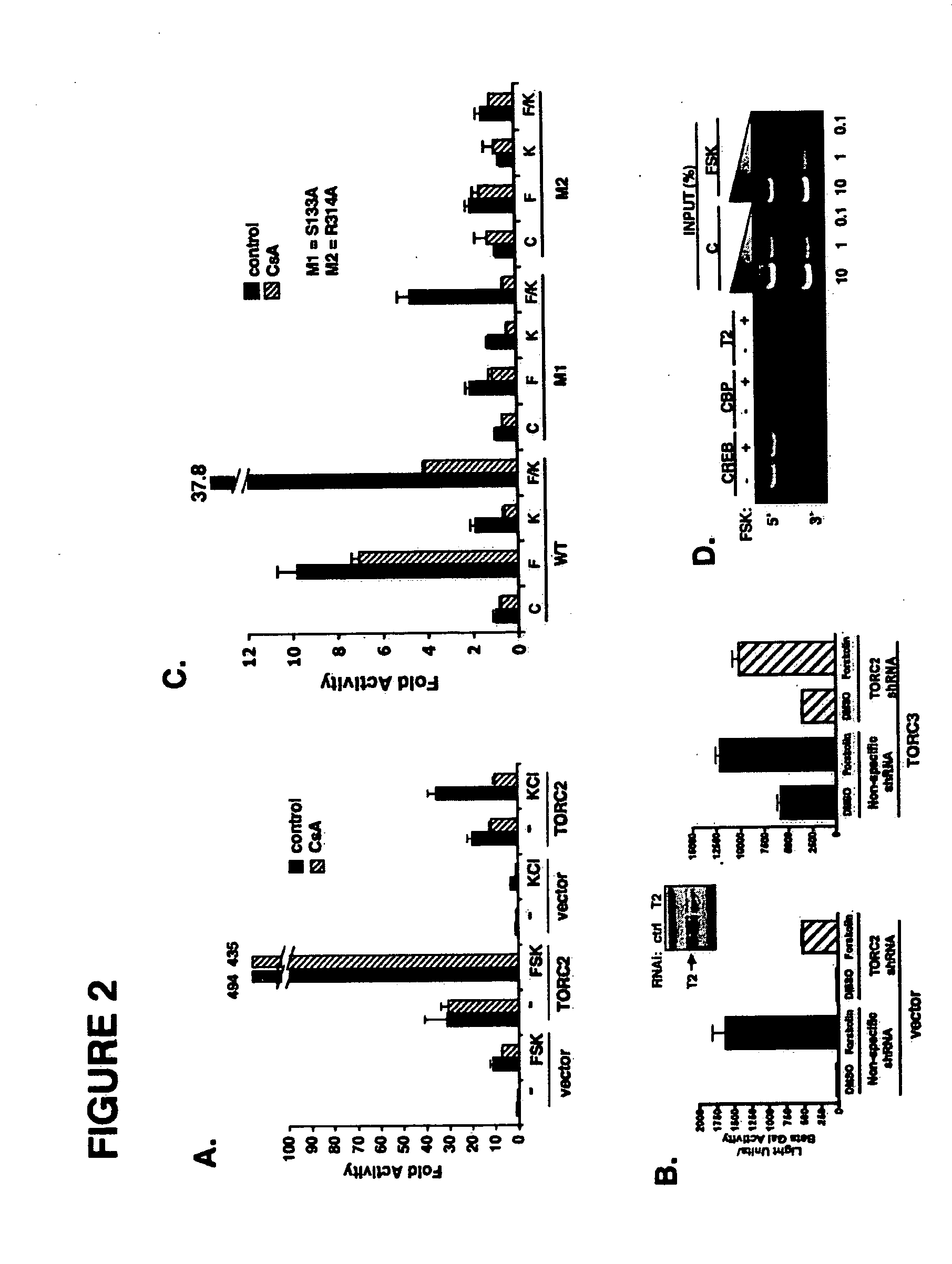 Method for screening compounds & uses therefor