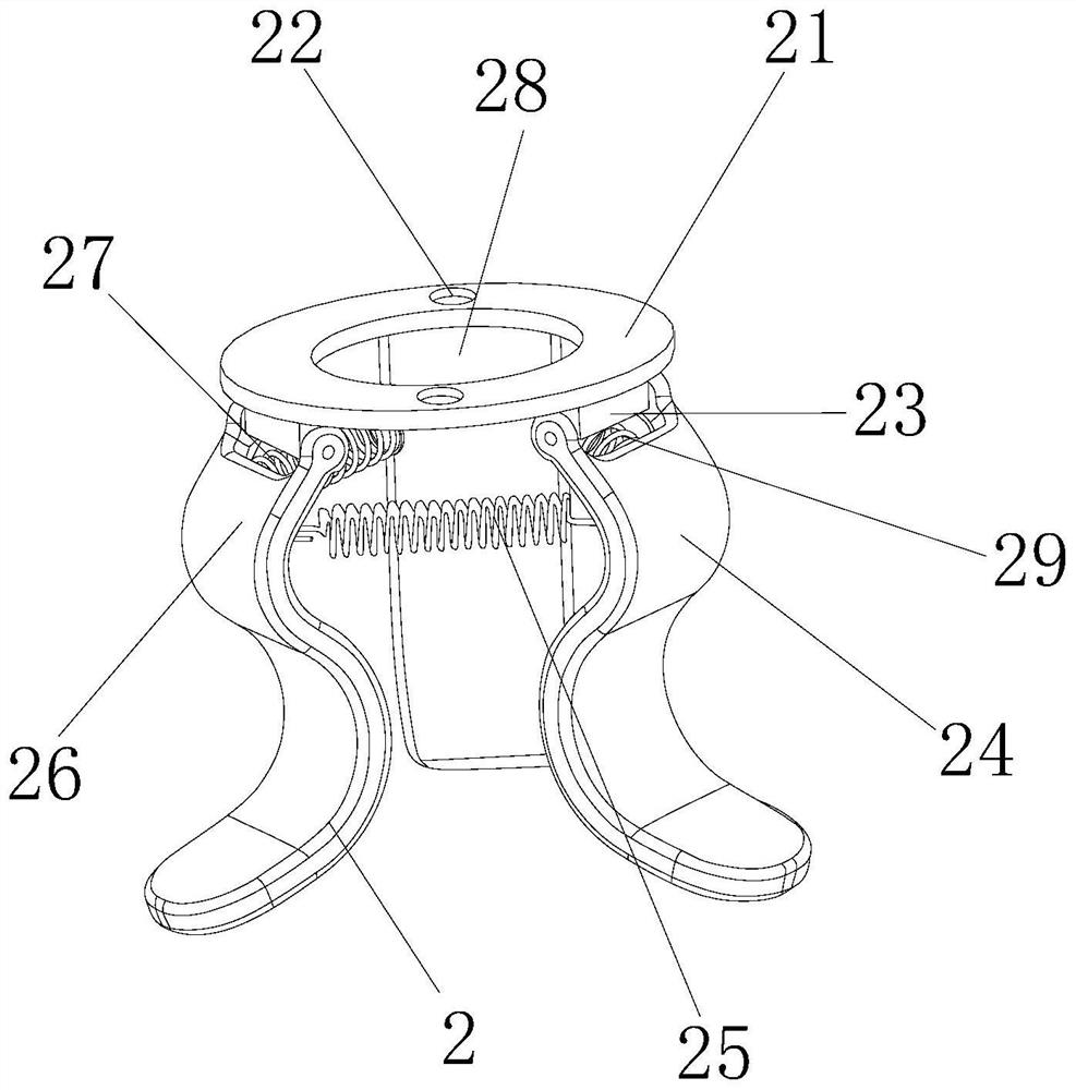 Developing nozzle