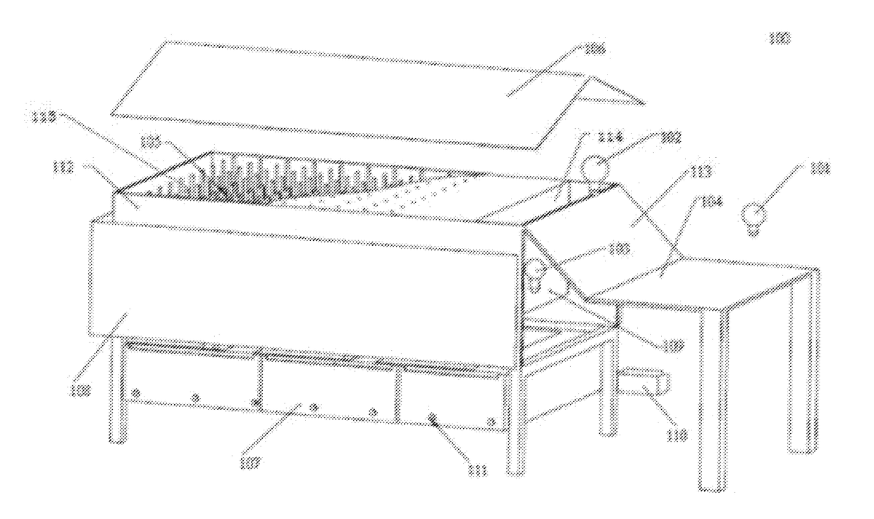 Method and system of cultivating cordyceps