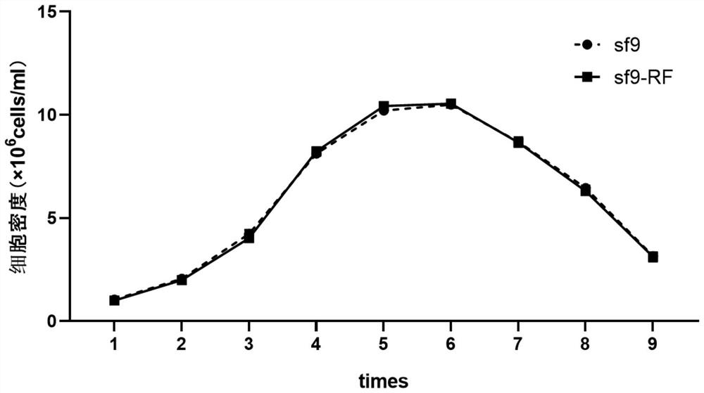 Serum-independent rhabdovirus-pollution-free sf9 cell strain, screening method and application