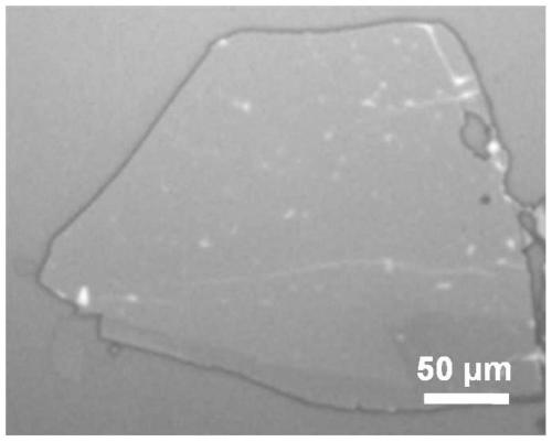 Black phosphorus film as well as preparation method and application thereof