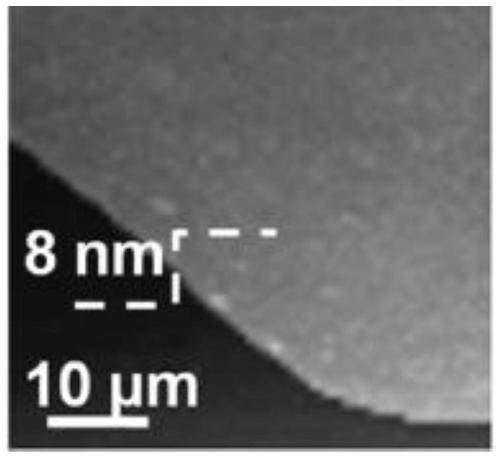 Black phosphorus film as well as preparation method and application thereof