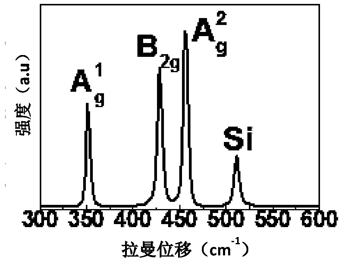 Black phosphorus film as well as preparation method and application thereof