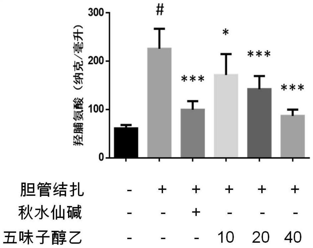 Application of combination of lignan compound and furocoumarin compound to treatment of liver fibrosis