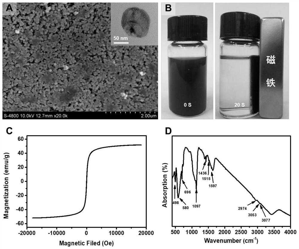 Electrochemical sensing method for accurately detecting trace protein molecules