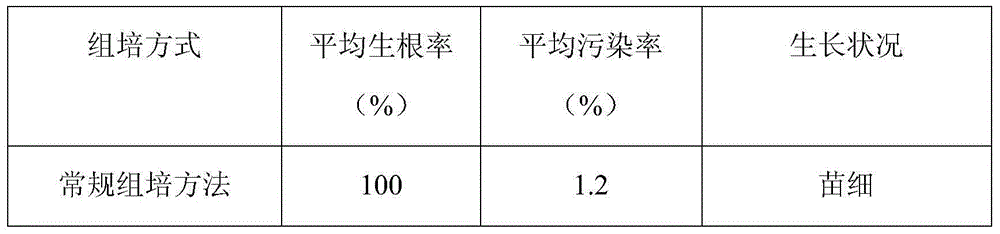 Chemical disinfection tissue culture method for rhododendron simsii planch