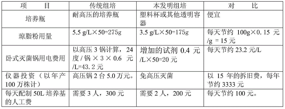 Chemical disinfection tissue culture method for rhododendron simsii planch