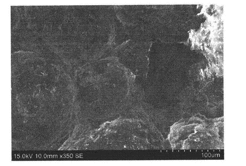 Particle reinforced foam glass and preparation method thereof