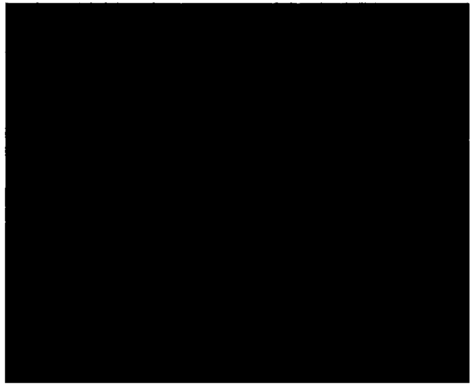 Method for detecting activity of NK (Natural Killer) cell