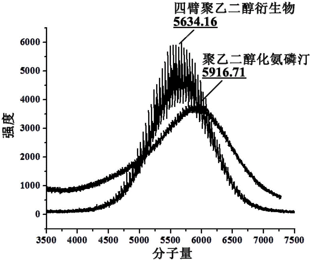 PEGylation modified amifostine as well as preparation method and use of PEGylation modified amifostine