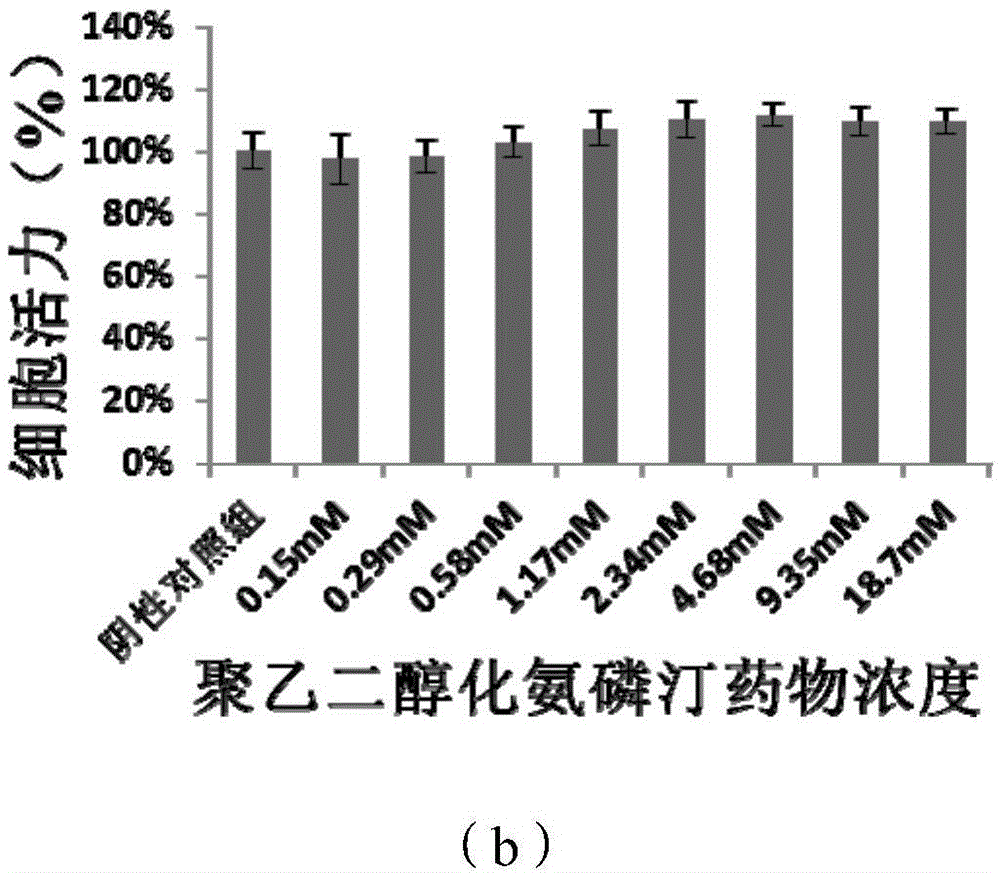 PEGylation modified amifostine as well as preparation method and use of PEGylation modified amifostine