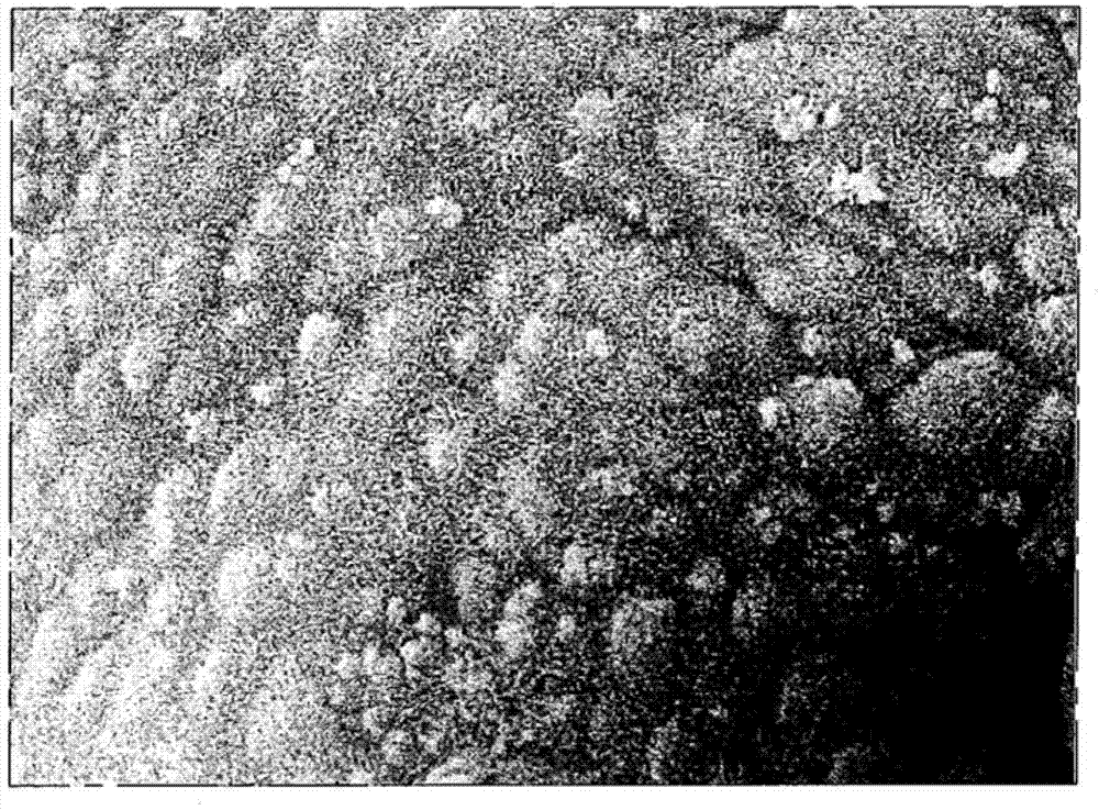 Use of N-acetyl-5-methoxytryptamine or analogues thereof, for promoting the mechanism of implantation of the embryo and related compositions and culture media