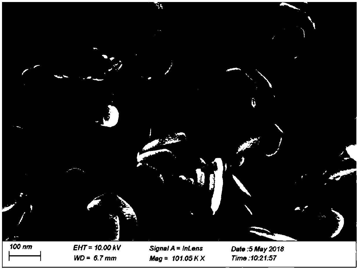 Beta-nickel hydroxide/iron oxide ultrathin nano-sheet and preparation method thereof