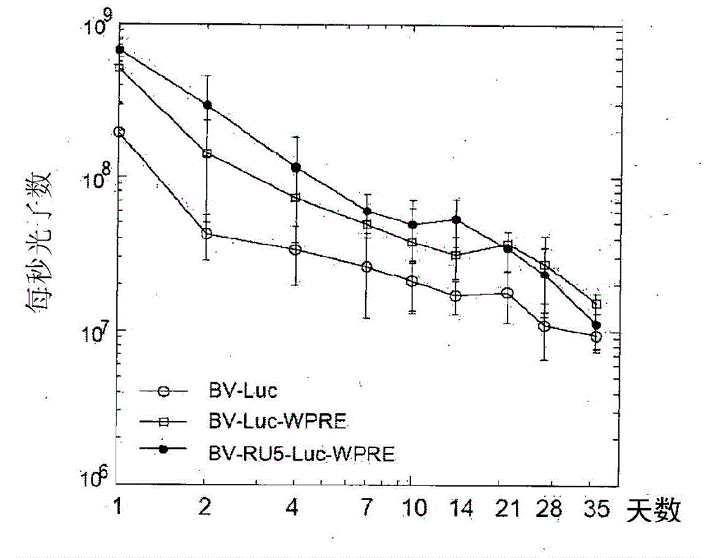 Methods for bladder cancer therapy using baculoviral vectors