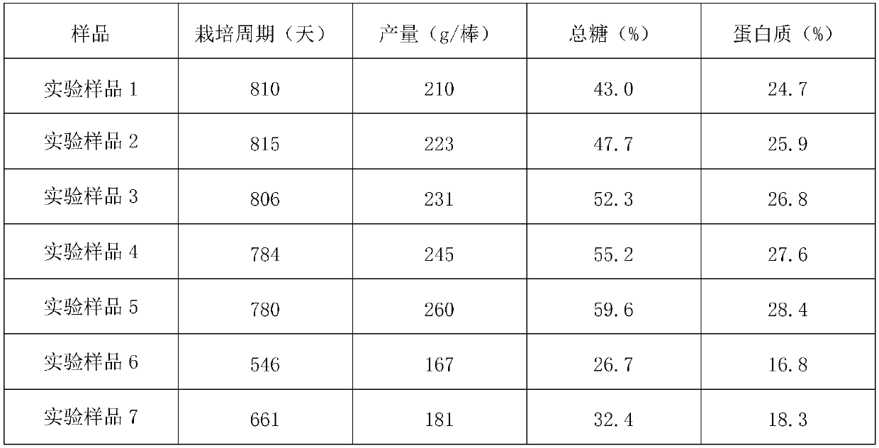 Bacteria stick for edible fungi cultivation and preparation method of bacteria stick