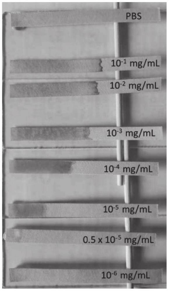 Biomolecule and inhibitor molecule detection method