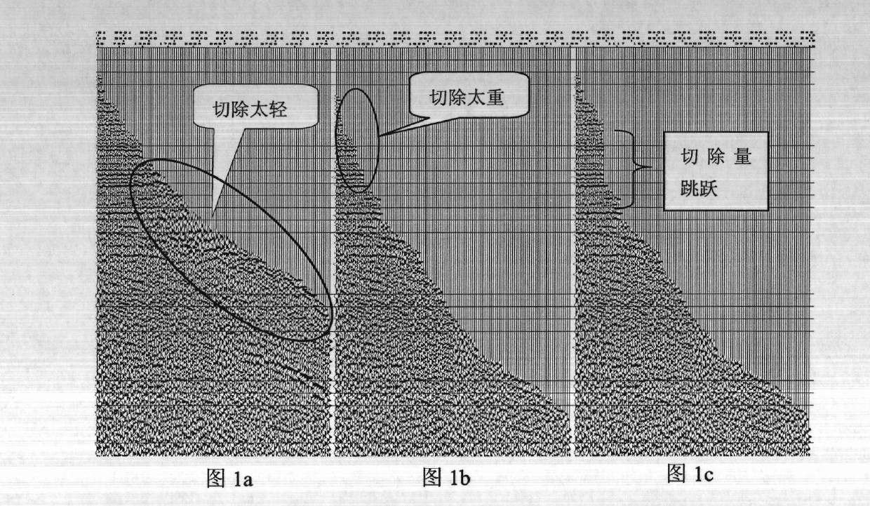 Normal moveout stretch cutting method for processing geophysical exploitation seismic data